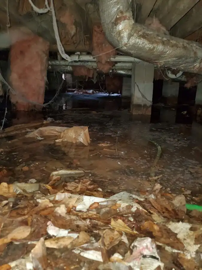 Crawl space flood assessment for Leak Detection & Repair in Billings